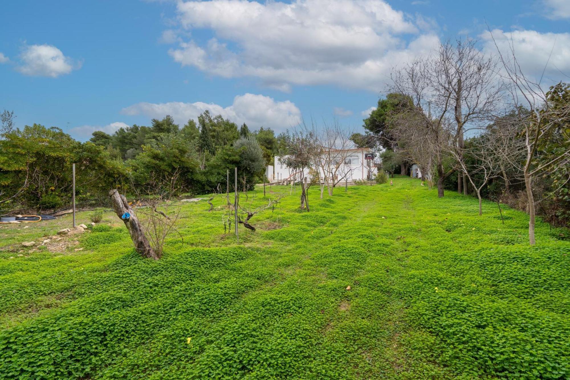Filoxenia Di Umberto Konuk evi Sassari Dış mekan fotoğraf